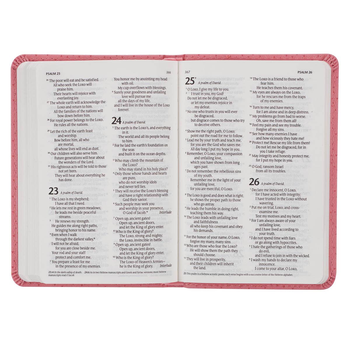 Girls Bible