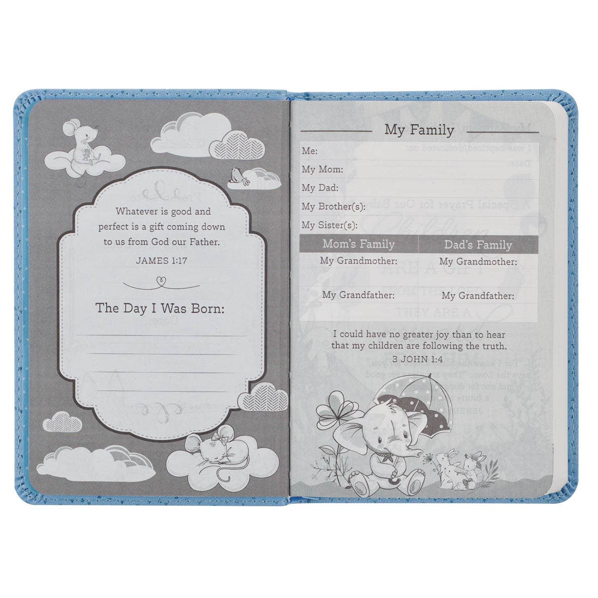 Boys Bible