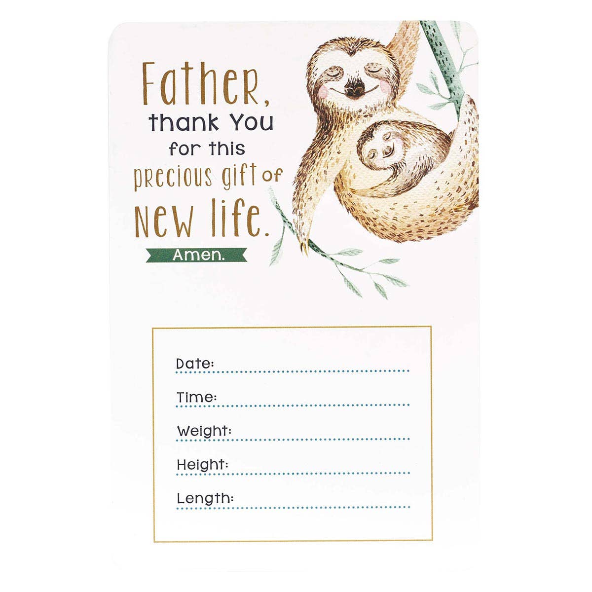 Baby Boy's Milestones