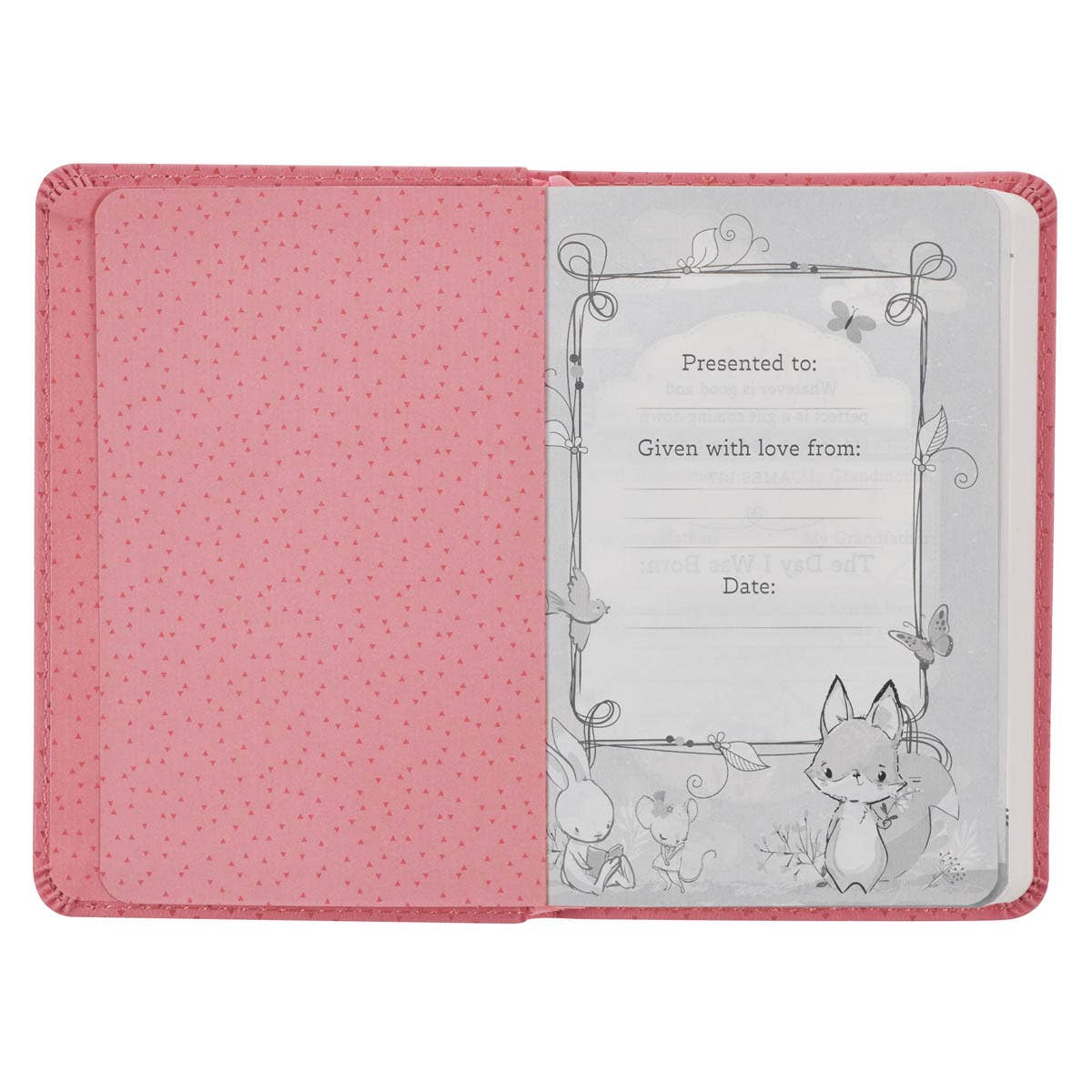 Girls Bible