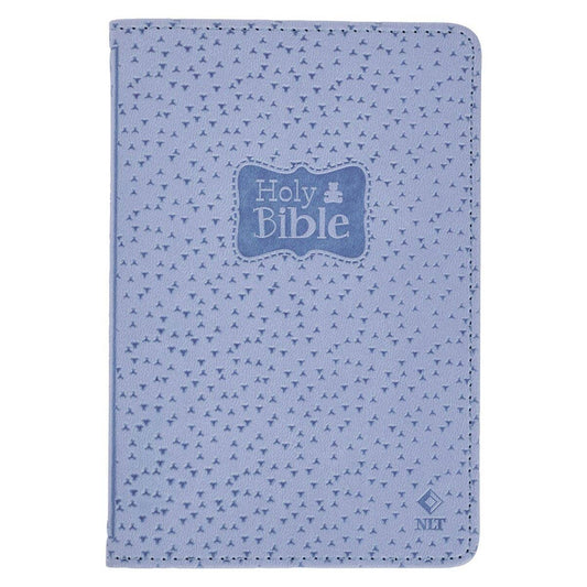 Boys Bible